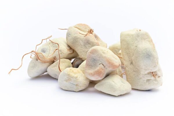 Baobab Powder - Image 2